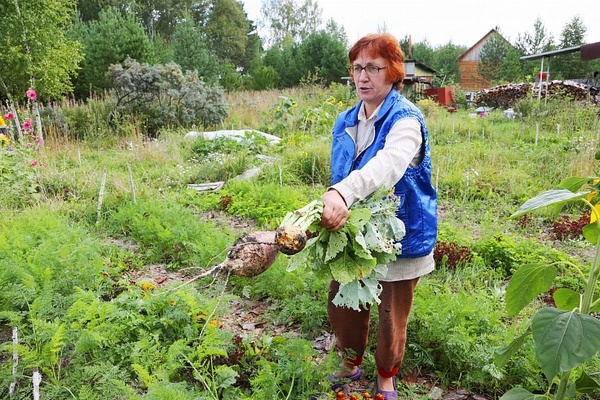 BKИ5.jpg