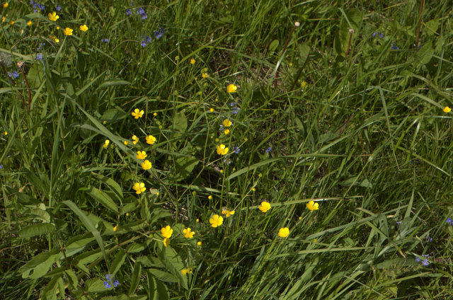 DSC_0153.jpg